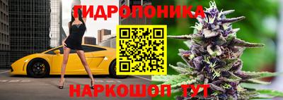 apvp Севастополь