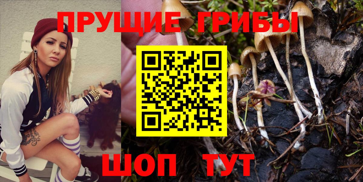 Галлюциногенные грибы Psilocybe  Галлюциногенные грибы Cubensis  Вход с VPN  Орехово-Зуево 