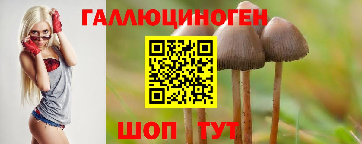 Галлюциногенные грибы Psilocybine cubensis Орехово-Зуево