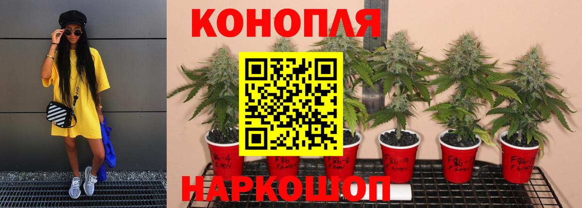 Шишки марихуана AK-47 Орехово-Зуево